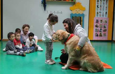 Si chiama Boris, ha 3 anni e va all'asilo con gli altri bimbi: ma  un cane